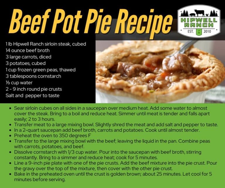 Beef pot pie recipe